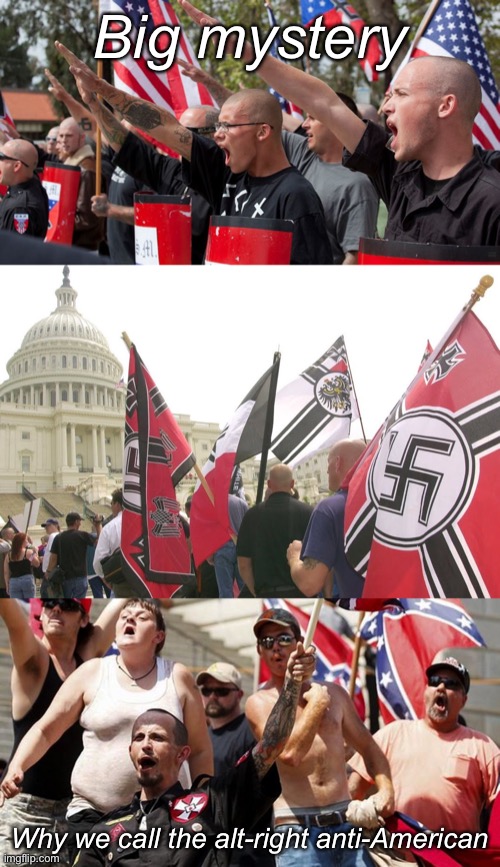 Cringing at Alt-righies of various stripes and flavors | Big mystery; Why we call the alt-right anti-American | image tagged in confederate flag supporters,neo nazis,nazis neo-nazi flags parade capitol washington dc,alt right,nazis,confederate flag | made w/ Imgflip meme maker
