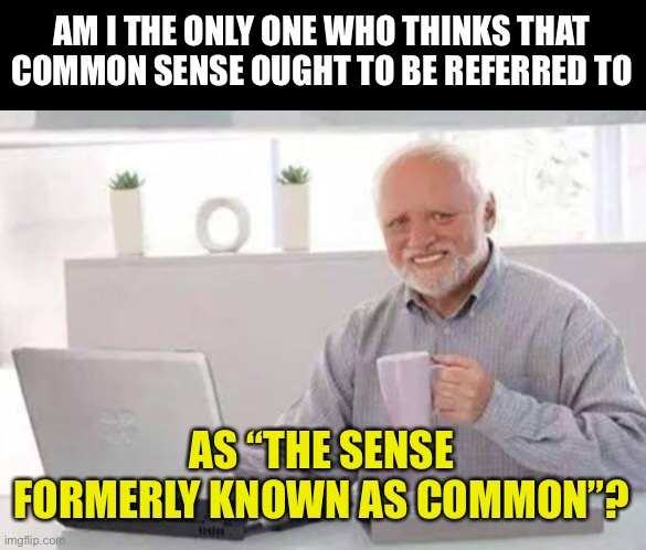 Common sense | AM I THE ONLY ONE WHO THINKS THAT COMMON SENSE OUGHT TO BE REFERRED TO; AS “THE SENSE FORMERLY KNOWN AS COMMON”? | image tagged in harold | made w/ Imgflip meme maker