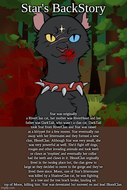 Star's Story | Star's BackStory; Star was originally a RiverClan cat, her mother was RiverHeart and her father was DarkTail, who wasn't a clan cat. DarkTail took Star from RiverClan and Star was raised as a kittypet for a few moons. Star eventually ran away with her littermates and they formed a new clan, BloodClan. Although Star was very small, she was very powerful as well. She'd fight off dogs, rouges and other invading animals and took teeth or claws as 'trophies' and eventually her collar had the teeth and claws in it. BloodClan orginally lived in the twoleg place but, the clan grew to large so they decided to move to the gorge and they've lived there since. Moon, one of Star's littermates was killed by a ShadowClan cat, he was fighting in a tree and the tree brach broke, landing on top of Moon, killing him. Star was devestated but moveed on and lead BloodClan. | made w/ Imgflip meme maker