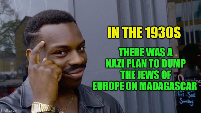Roll Safe Think About It Meme | IN THE 1930S THERE WAS A NAZI PLAN TO DUMP THE JEWS OF EUROPE ON MADAGASCAR | image tagged in memes,roll safe think about it | made w/ Imgflip meme maker