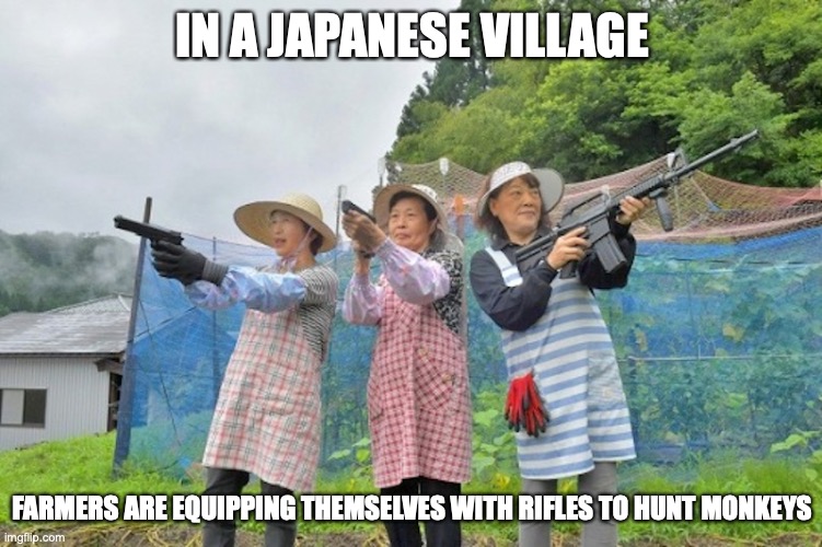 Villagers With Rifles | IN A JAPANESE VILLAGE; FARMERS ARE EQUIPPING THEMSELVES WITH RIFLES TO HUNT MONKEYS | image tagged in villager,memes,rifle | made w/ Imgflip meme maker