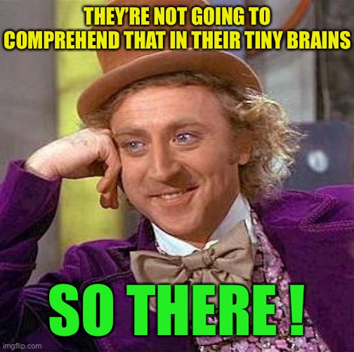 Creepy Condescending Wonka Meme | THEY’RE NOT GOING TO COMPREHEND THAT IN THEIR TINY BRAINS SO THERE ! | image tagged in memes,creepy condescending wonka | made w/ Imgflip meme maker