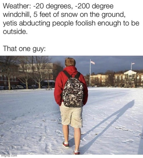 meanwhile in maine... | image tagged in lol,memes,funny | made w/ Imgflip meme maker