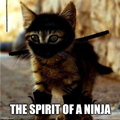 Ninja Cat | THE SPIRIT OF A NINJA | image tagged in ninja cat | made w/ Imgflip meme maker