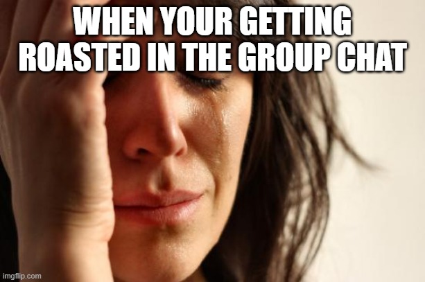 getting roasted in the group chat | WHEN YOUR GETTING ROASTED IN THE GROUP CHAT | image tagged in memes,first world problems | made w/ Imgflip meme maker