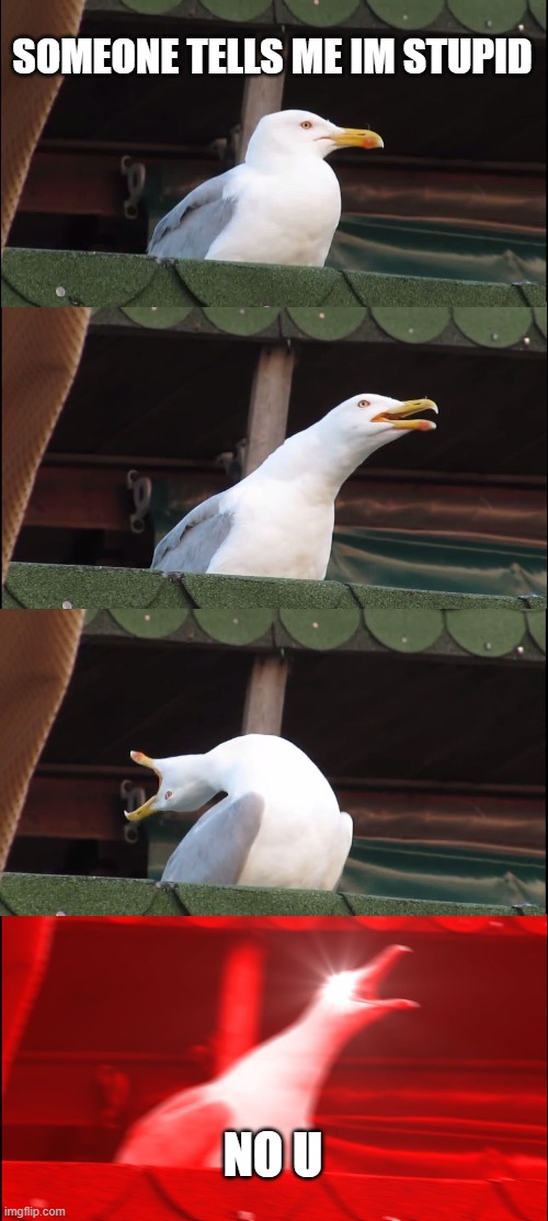 Inhaling Seagull | SOMEONE TELLS ME IM STUPID; NO U | image tagged in memes,inhaling seagull | made w/ Imgflip meme maker