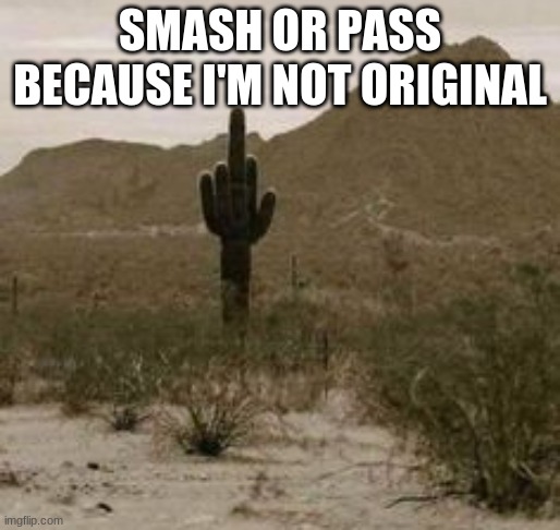 Just don't ask about the template | SMASH OR PASS BECAUSE I'M NOT ORIGINAL | image tagged in cactus middle finger | made w/ Imgflip meme maker