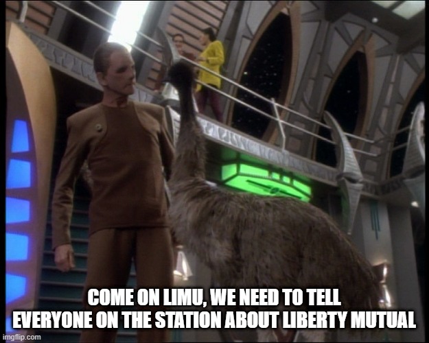 Odo, Constable and Insurance Salesman | COME ON LIMU, WE NEED TO TELL EVERYONE ON THE STATION ABOUT LIBERTY MUTUAL | image tagged in gunji jackdaw | made w/ Imgflip meme maker