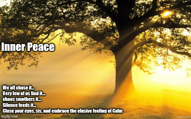 nature | Inner Peace; We all chase it...
Very few of us find it...
chaos smothers it...
Silence feeds it...
Close your eyes, sis, and embrace the elusive feeling of Calm | image tagged in nature | made w/ Imgflip meme maker