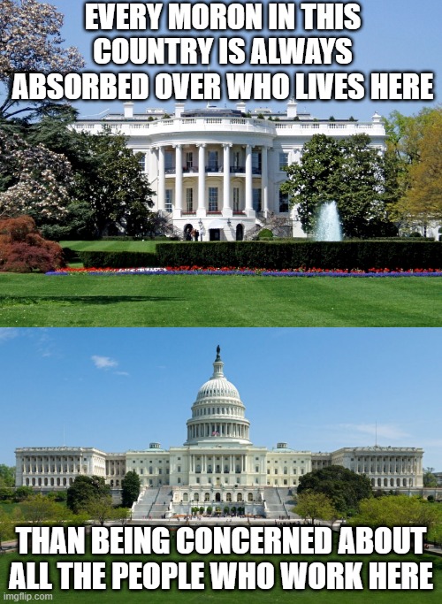 People Obviously Didn't Pay Attention in Civics/Government Class | EVERY MORON IN THIS COUNTRY IS ALWAYS ABSORBED OVER WHO LIVES HERE; THAN BEING CONCERNED ABOUT ALL THE PEOPLE WHO WORK HERE | image tagged in capitol hill,white house | made w/ Imgflip meme maker