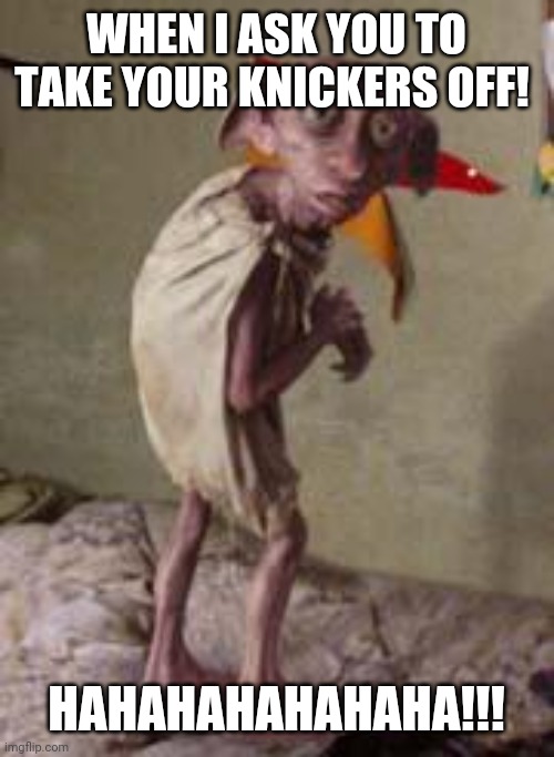 dobby | WHEN I ASK YOU TO TAKE YOUR KNICKERS OFF! HAHAHAHAHAHAHA!!! | image tagged in dobby | made w/ Imgflip meme maker