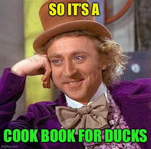 Creepy Condescending Wonka Meme | SO IT’S A COOK BOOK FOR DUCKS | image tagged in memes,creepy condescending wonka | made w/ Imgflip meme maker