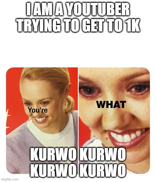 you're what | I AM A YOUTUBER TRYING TO GET TO 1K; KURWO KURWO KURWO KURWO | image tagged in you're what | made w/ Imgflip meme maker