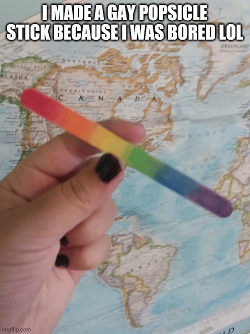 I MADE A GAY POPSICLE STICK BECAUSE I WAS BORED LOL | image tagged in memes | made w/ Imgflip meme maker