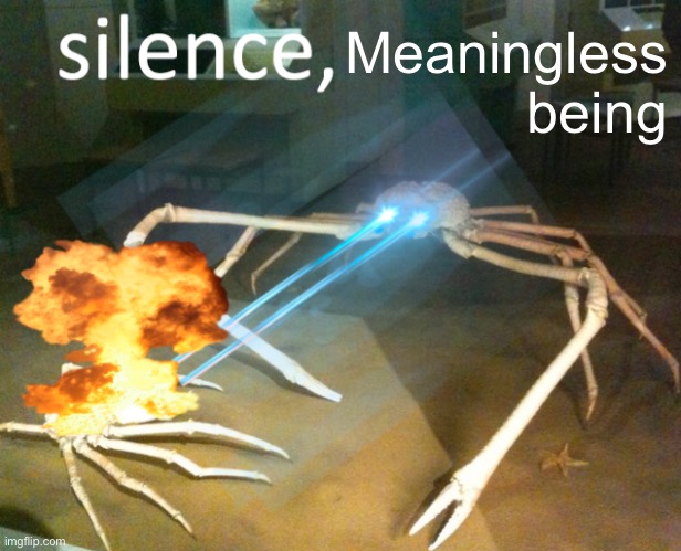 Silence Crab | Meaningless being | image tagged in silence crab | made w/ Imgflip meme maker