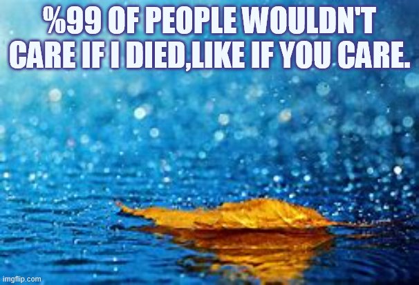 Idk? | %99 OF PEOPLE WOULDN'T CARE IF I DIED,LIKE IF YOU CARE. | image tagged in i has no idea | made w/ Imgflip meme maker