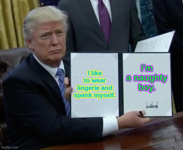 Trump Bill Signing | I like to wear lingerie and spank myself. I'm a naughty boy. | image tagged in memes,trump bill signing | made w/ Imgflip meme maker