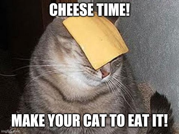 Cateese | CHEESE TIME! MAKE YOUR CAT TO EAT IT! | image tagged in cats with cheese | made w/ Imgflip meme maker