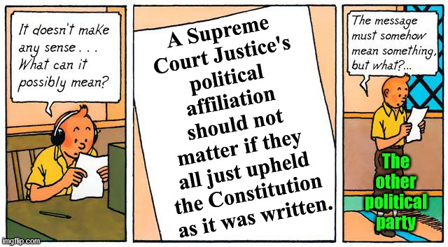 If they all stopped using case law and just to the constitution there would be less issues. | A Supreme 
Court Justice's 
political 
affiliation 
should not 
matter if they 
all just upheld 
the Constitution 
as it was written. The other political party | image tagged in what does it mean,the constitution,politics,and justice for all | made w/ Imgflip meme maker