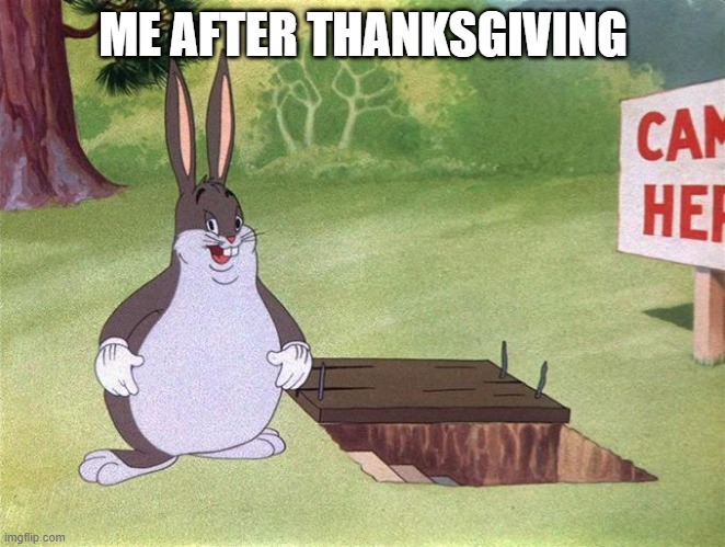 After the day, YOU GOT BIG CHUNGUS | ME AFTER THANKSGIVING | image tagged in big chungus,memes | made w/ Imgflip meme maker