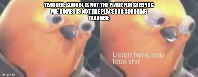 Listen here you little shit bird | TEACHER: SCHOOL IS NOT THE PLACE FOR SLEEPING
ME: HOMES IS NOT THE PLACE FOR STUDYING
TEACHER: | image tagged in listen here you little shit bird | made w/ Imgflip meme maker