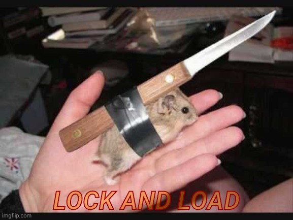 Lock and Load Hamster | LOCK AND LOAD | image tagged in lock and load hamster | made w/ Imgflip meme maker