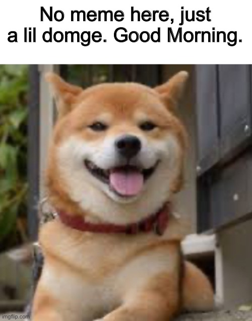 Good morning! | No meme here, just a lil domge. Good Morning. | image tagged in doge,good morning | made w/ Imgflip meme maker