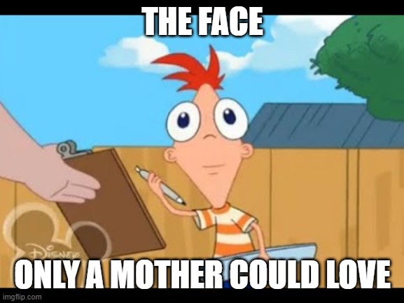 Phineas facing camera | THE FACE; ONLY A MOTHER COULD LOVE | image tagged in phineas facing camera | made w/ Imgflip meme maker