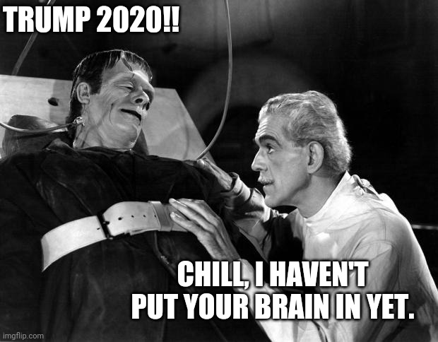 No brain frankestain | TRUMP 2020!! CHILL, I HAVEN'T PUT YOUR BRAIN IN YET. | image tagged in maga,nevertrump,trump supporters,joe biden,donald trump,conservatives | made w/ Imgflip meme maker