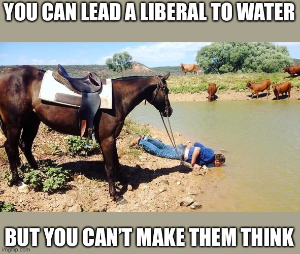 You can lead a -blank- to water | YOU CAN LEAD A LIBERAL TO WATER BUT YOU CAN’T MAKE THEM THINK | image tagged in you can lead a -blank- to water | made w/ Imgflip meme maker