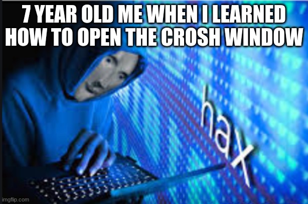 hax | 7 YEAR OLD ME WHEN I LEARNED HOW TO OPEN THE CROSH WINDOW | image tagged in hax | made w/ Imgflip meme maker