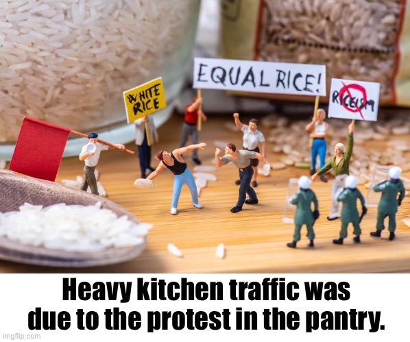Pantry Protest | Heavy kitchen traffic was due to the protest in the pantry. | image tagged in funny memes,protests,rice | made w/ Imgflip meme maker