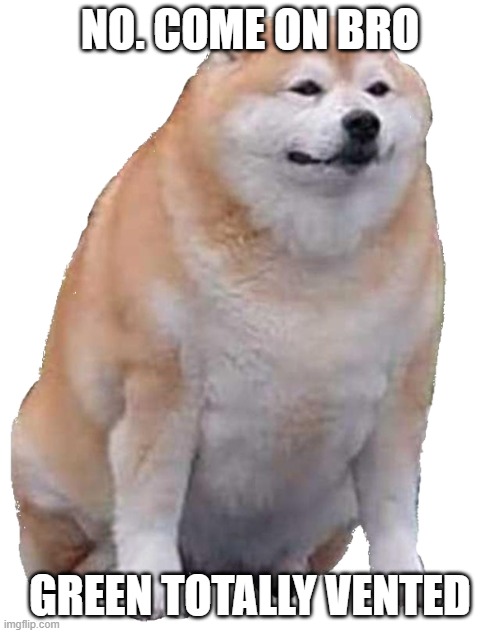 Wide doge is right | NO. COME ON BRO; GREEN TOTALLY VENTED | image tagged in doggo | made w/ Imgflip meme maker