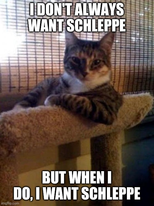 I want schleppe | I DON'T ALWAYS WANT SCHLEPPE; BUT WHEN I DO, I WANT SCHLEPPE | image tagged in memes,the most interesting cat in the world | made w/ Imgflip meme maker