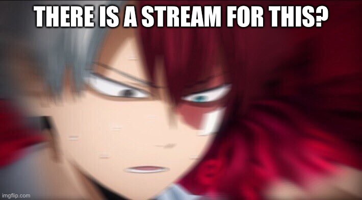 He my fav mha character (besides bakugo) |  THERE IS A STREAM FOR THIS? | image tagged in todoroki thinking | made w/ Imgflip meme maker