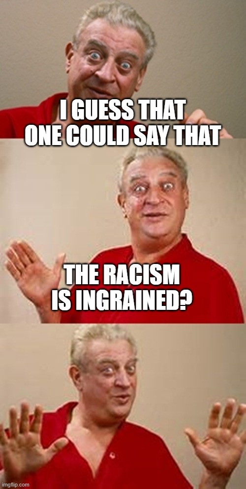bad pun Dangerfield  | I GUESS THAT ONE COULD SAY THAT THE RACISM IS INGRAINED? | image tagged in bad pun dangerfield | made w/ Imgflip meme maker