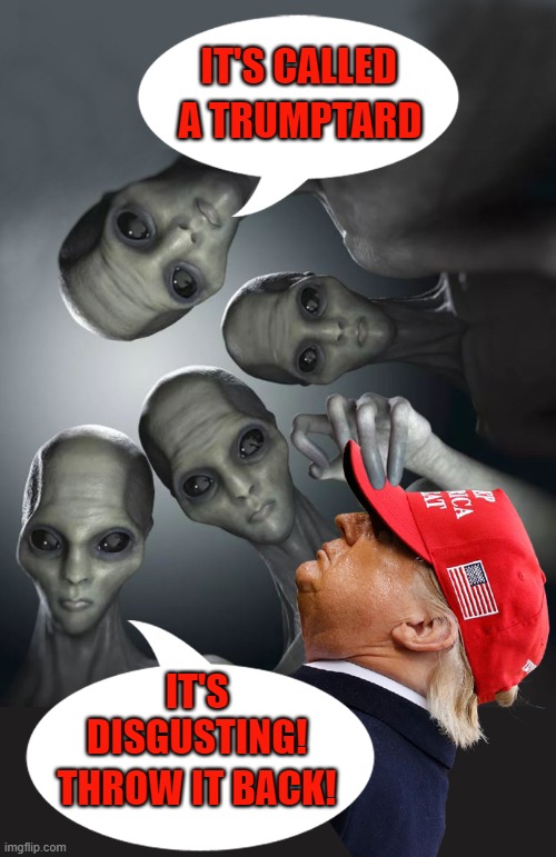 Grossed out aliens! | IT'S CALLED; A TRUMPTARD; IT'S DISGUSTING! THROW IT BACK! | image tagged in grey aliens,despicable donald,deplorable donald,trumptard,abduction,grossed out alien | made w/ Imgflip meme maker