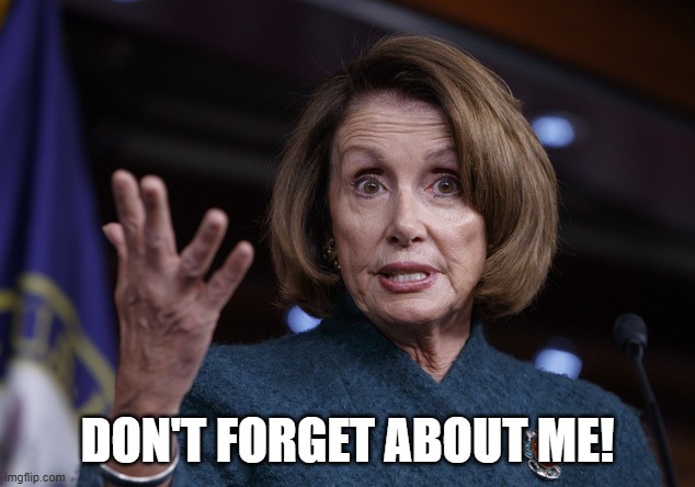 Good old Nancy Pelosi | DON'T FORGET ABOUT ME! | image tagged in good old nancy pelosi | made w/ Imgflip meme maker