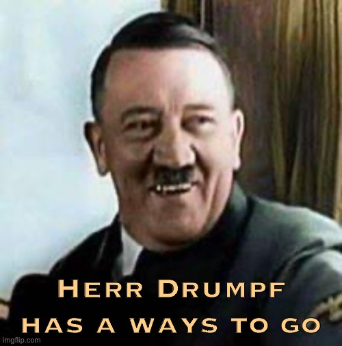 Laughing Hitler gives his review on Trump's first and hopefully last term in office anywhere. | Herr Drumpf has a ways to go | image tagged in laughing hitler,hitler,trump,president trump,trump administration,tyranny | made w/ Imgflip meme maker
