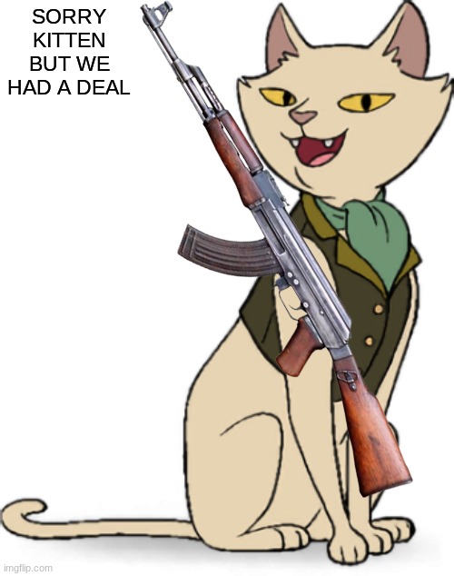 sorry kitten but we had a deal Blank Meme Template