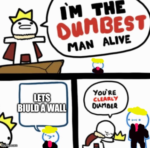 Dumbest man alive | LETS BIULD A WALL | image tagged in dumbest man alive | made w/ Imgflip meme maker