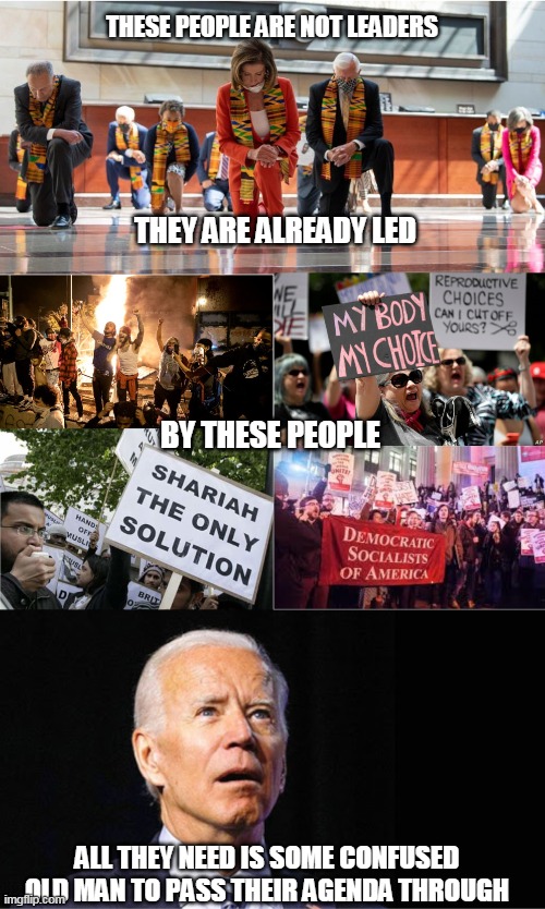 Vote RED. Remove Every Democrat | THESE PEOPLE ARE NOT LEADERS; THEY ARE ALREADY LED; BY THESE PEOPLE; ALL THEY NEED IS SOME CONFUSED OLD MAN TO PASS THEIR AGENDA THROUGH | image tagged in trump 2020 | made w/ Imgflip meme maker