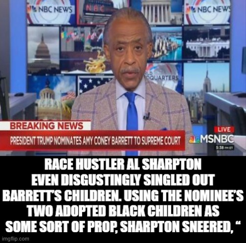 Race Hustler, Al Sharpton On MSNBC Points Out Adopted Black Children As Props! Democrats The Real Racists! | image tagged in al sharpton racist,stupid liberals | made w/ Imgflip meme maker