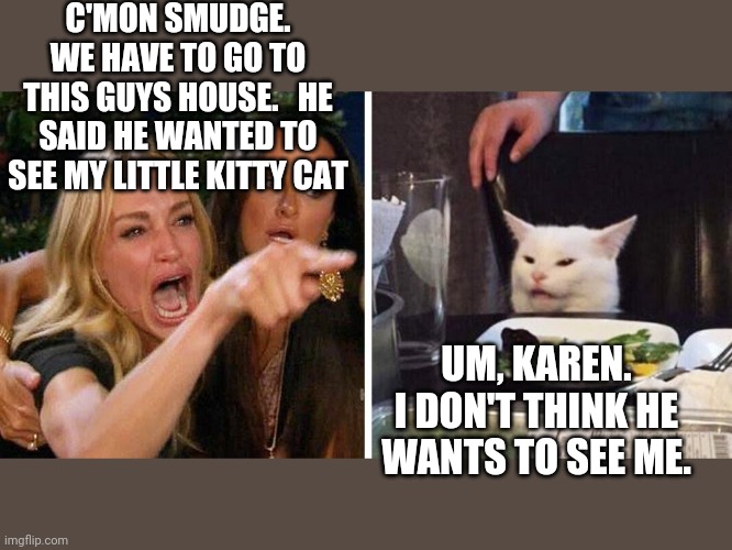 Smudge the cat | C'MON SMUDGE. WE HAVE TO GO TO THIS GUYS HOUSE.   HE SAID HE WANTED TO SEE MY LITTLE KITTY CAT; UM, KAREN. I DON'T THINK HE WANTS TO SEE ME. | image tagged in smudge the cat | made w/ Imgflip meme maker