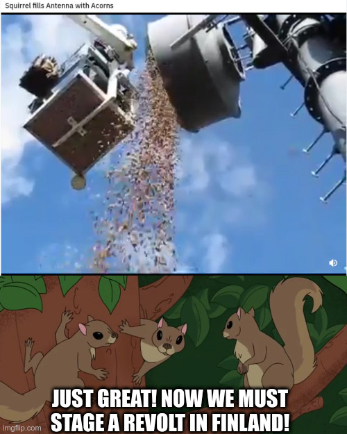 The squirrels are not happy with this development | JUST GREAT! NOW WE MUST STAGE A REVOLT IN FINLAND! | image tagged in squirrels,rick and morty | made w/ Imgflip meme maker
