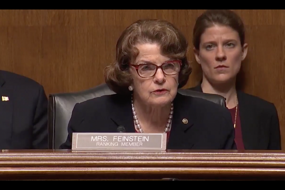 Dianne Feinstein Blank Meme Template