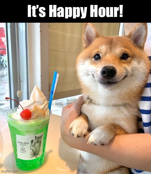 Happy Hour | It’s Happy Hour! | image tagged in funny memes,funny dogs | made w/ Imgflip meme maker