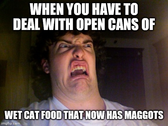 Oh No | WHEN YOU HAVE TO DEAL WITH OPEN CANS OF; WET CAT FOOD THAT NOW HAS MAGGOTS | image tagged in memes,oh no,cat food | made w/ Imgflip meme maker