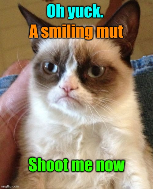Grumpy Cat Meme | Oh yuck. A smiling mut Shoot me now | image tagged in memes,grumpy cat | made w/ Imgflip meme maker