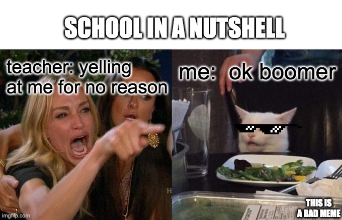 this is a bad meme | SCHOOL IN A NUTSHELL; me:  ok boomer; teacher: yelling at me for no reason; THIS IS A BAD MEME | image tagged in memes,woman yelling at cat | made w/ Imgflip meme maker